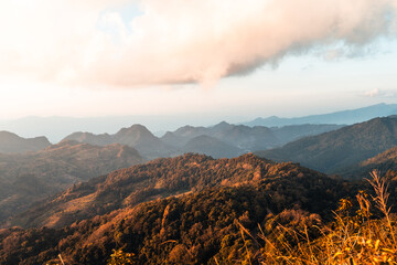 辅助神器“微乐湖北麻将开挂神器”附开挂脚本详细步骤(透视)